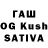 ТГК концентрат chikusha