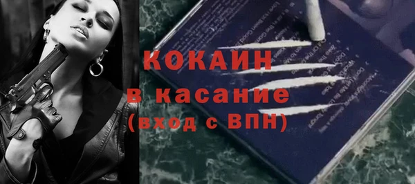 гидра Лагань