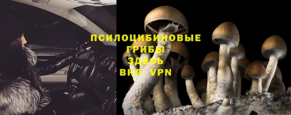 бутират Лиски