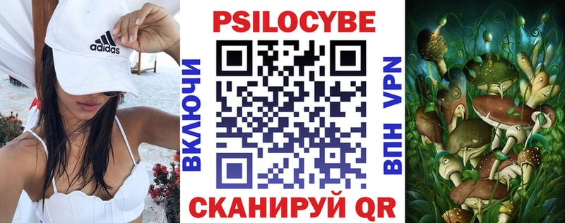 Псилоцибиновые грибы Cubensis  дарнет шоп  Суджа 